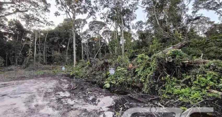 Terreno à venda na Nereu Ramos, Salinas, Balneário Barra do Sul