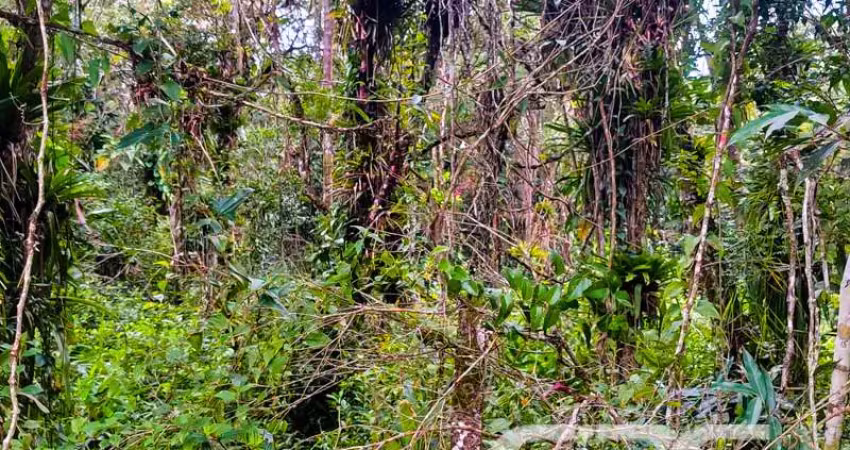 Terreno à venda na Areais, Conquista, Balneário Barra do Sul