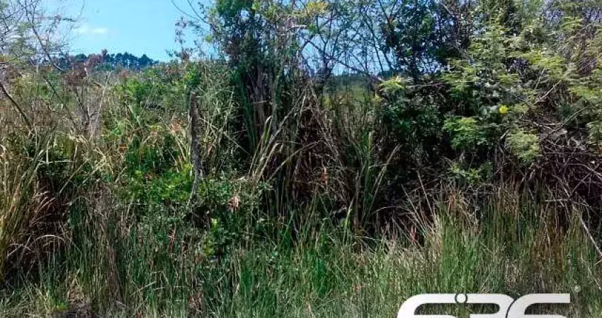 Terreno à venda na Perequê, 532, Pinheiros, Balneário Barra do Sul
