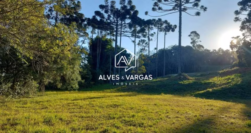 Terreno em condomínio fechado à venda na Rua Araruna, 58, Vila Conceição, Campo Largo