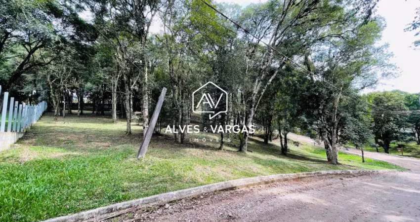 Terreno em condomínio fechado à venda na Avenida Jacob Valenga, 2771, Vila Franca, Piraquara