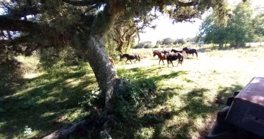 Terreno à venda na Estrada do Varejão, Lami, Porto Alegre
