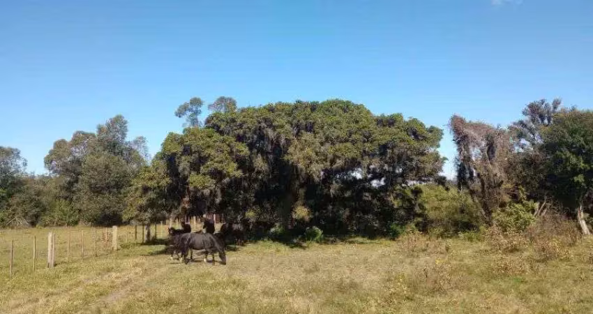 Chácara / sítio com 3 quartos à venda na Estrada do Varejão, Lami, Porto Alegre