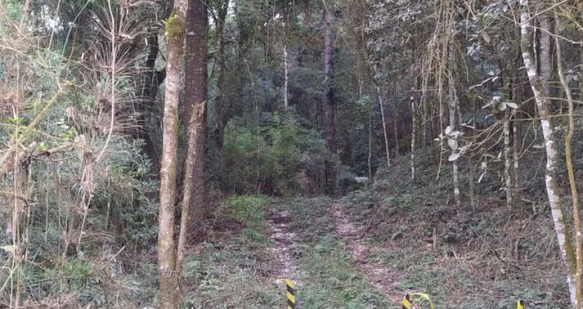 Chácara a Venda