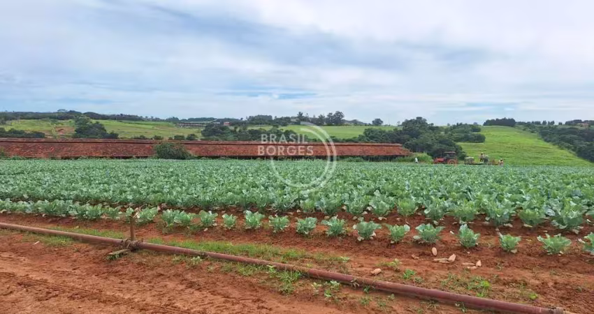 Chácara / sítio com 3 quartos à venda no Bom Retiro, Porto Feliz 