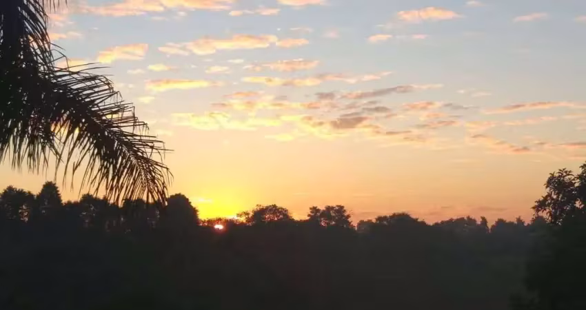 Chácara / sítio com 4 quartos à venda no Bosque dos Eucaliptos, Araçoiaba da Serra 