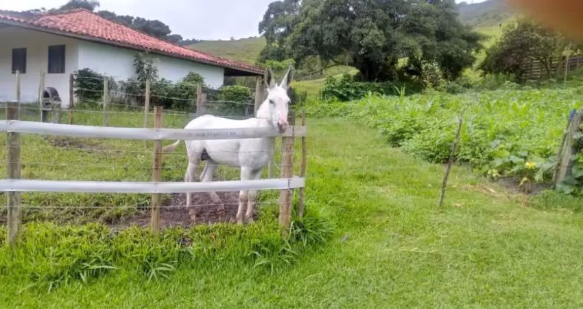 Fazenda c/ porteira fechada.50 alqueires.100% de permutas.c/180 cabeças de gado.