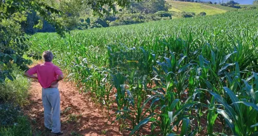 Terreno à venda no Afonsos, Pouso Alegre 