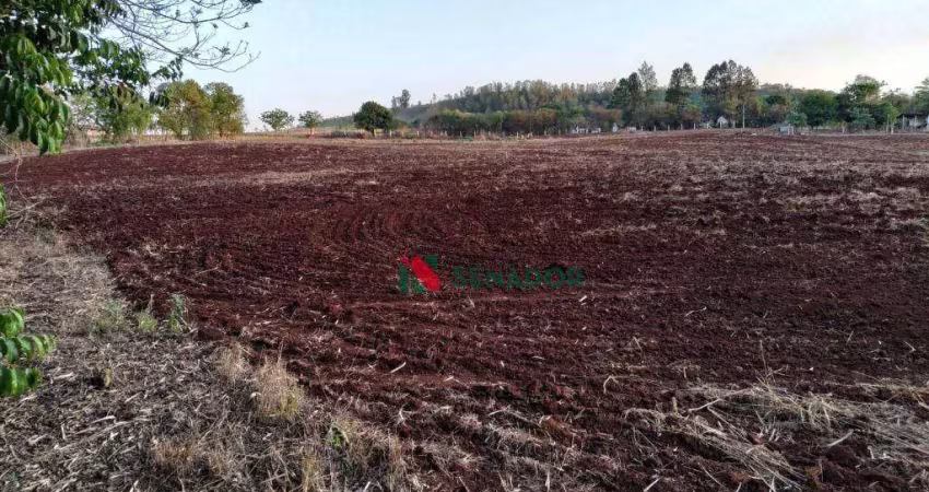 Terreno à venda, 45940 m² por r$ 1.800.000,00 - vale verde - londrina/pr