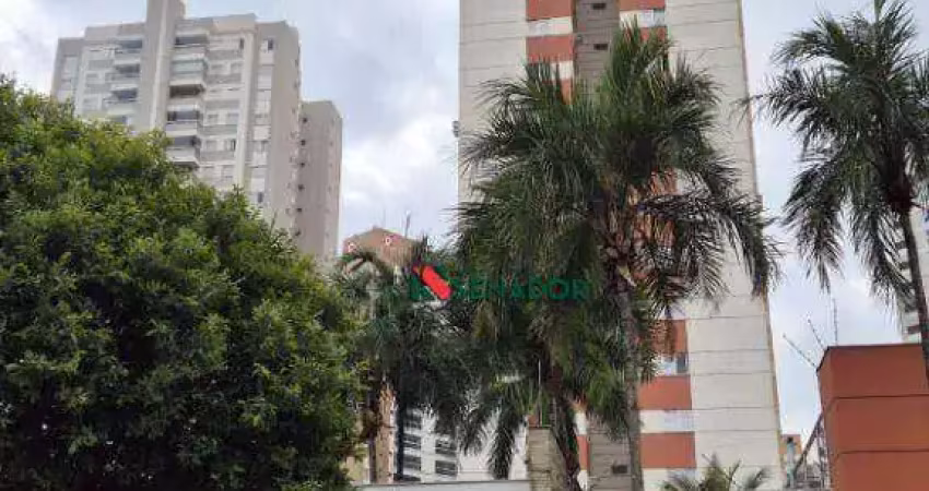 Lindo apartamento com 3 dormitórios para alugar- gleba palhano - londrina/pr