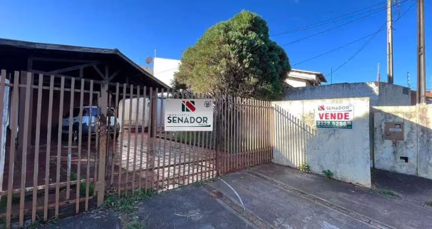 Casa à venda e para alugar em londrina, san conrado, com 3 quartos, com 231.88 m²