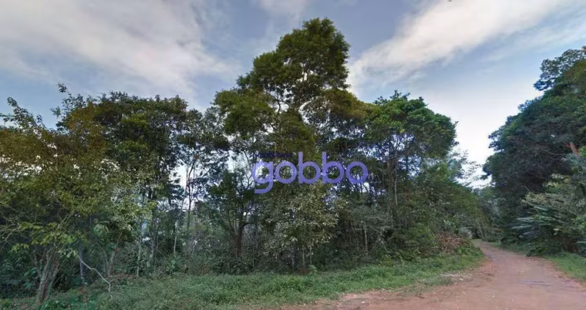 Terreno à venda em Itaguá, Ubatuba 