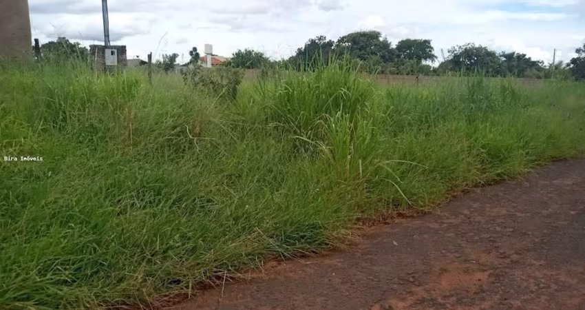 Terreno à venda, 5000 m² por R$ 500.000,00 - Chácaras Mariitas - Uberaba/MG