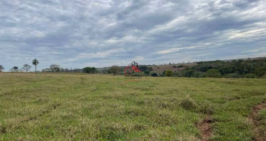 FAZENDA NA REGIÃO DE UBERABA