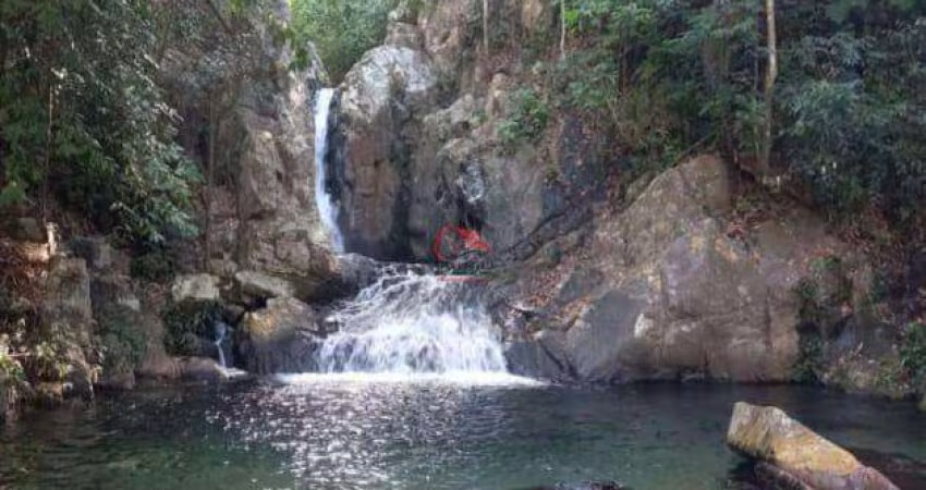 FAZENDA TOCANTINS - TO