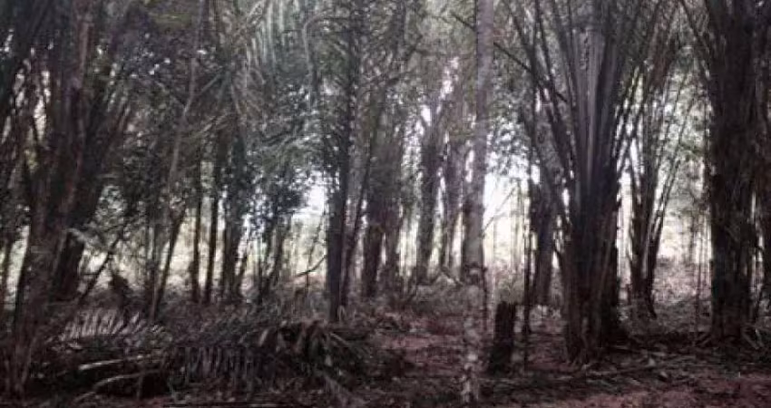 Terreno à venda na Zona Rural, Iranduba 
