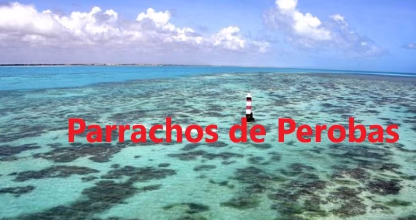 80.000 m2 de Terreno à Beira-Mar, Ideal para Resort, Condomínio ou Loteamento