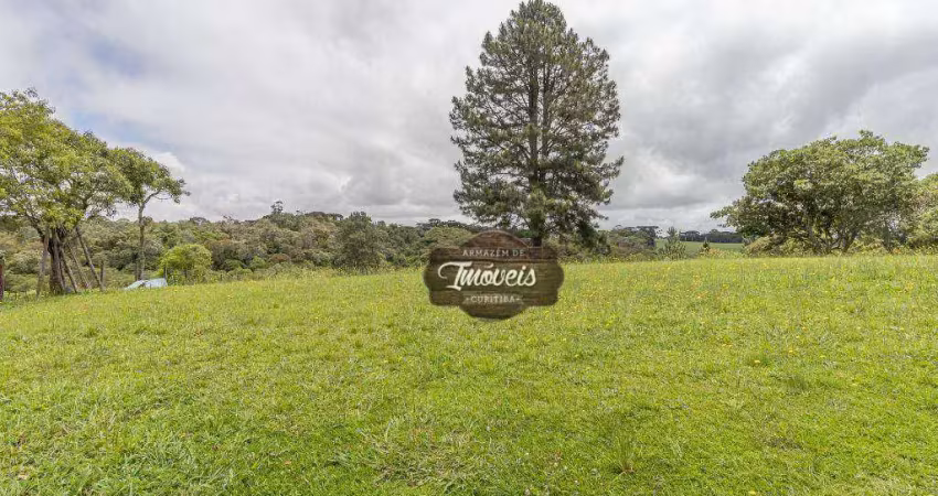 Chácara à venda, 35490 m² por r$ 1.379.000,00 - planta laranjeiras - piraquara/pr