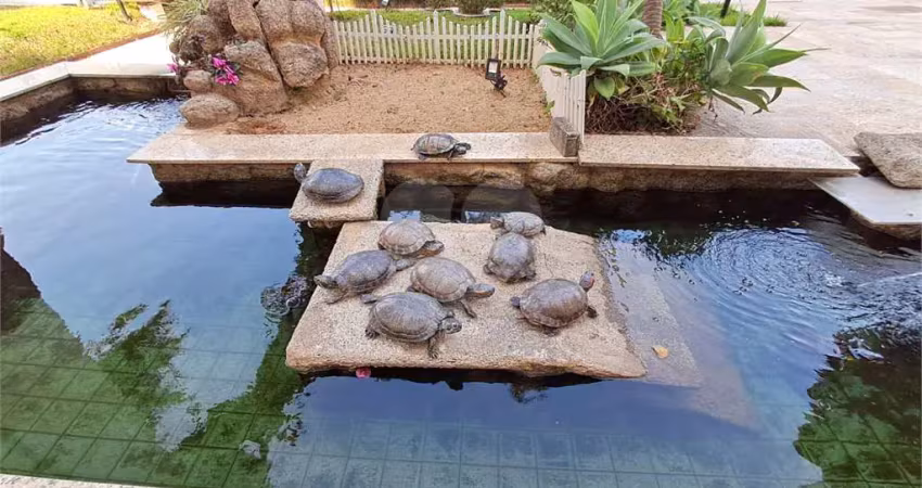 Apartamento com 3 quartos à venda em vila isolina mazzei - sp