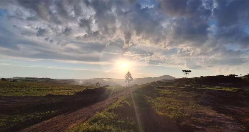 Terreno à venda em Vila Maria - SC
