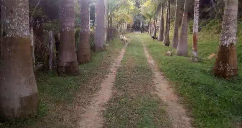 Chácara / sítio com 4 quartos à venda na Registro, Zona Rural, Registro