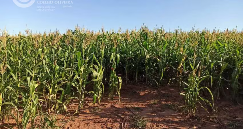 Fazenda à venda na Tacuru, Mato Gross, Zona Rural, Tacuru