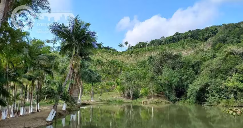 Fazenda em zona rural, sete barras sp  -  sete barras