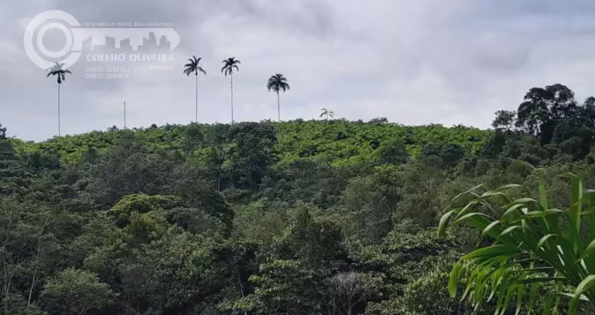 Fazenda à venda na Sete Barras, Zona Rural, Sete Barras