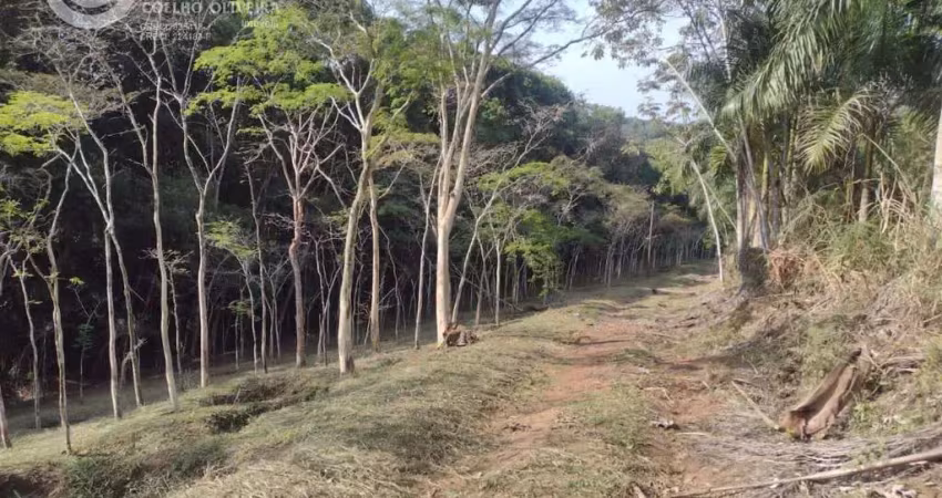 Chácara / sítio à venda na Pariquera-Açu, Pariquera-, Zona Rural, Pariquera-Açu