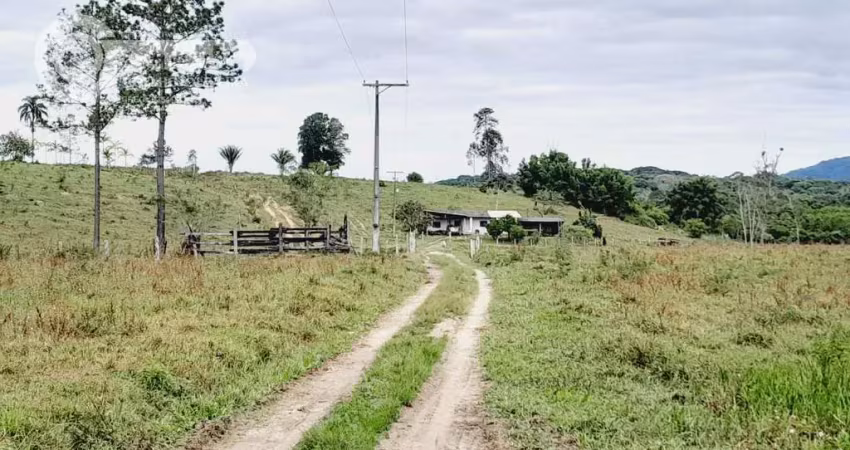 Fazenda à venda na Pariquera-Açu, Zona Rural, Pariquera-Açu