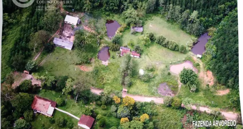 Fazenda à venda na Jacupiranga, Zona Rural, Jacupiranga