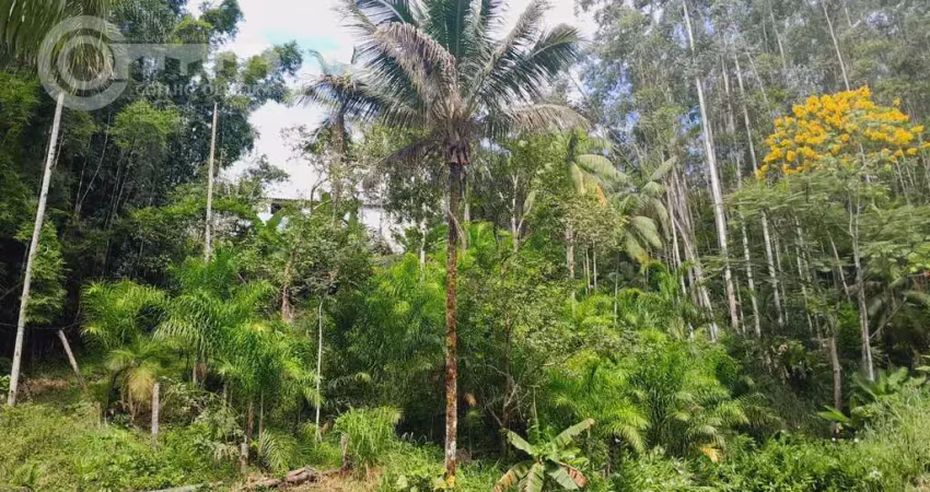 Chácara / sítio com 2 quartos à venda na Juquiá, Zona Rural, Juquiá