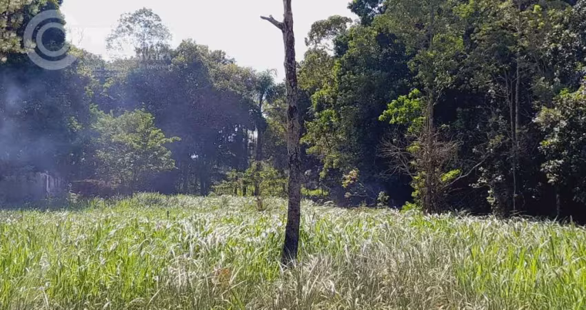 Terreno à venda na Iguape, Zona Rural, Iguape