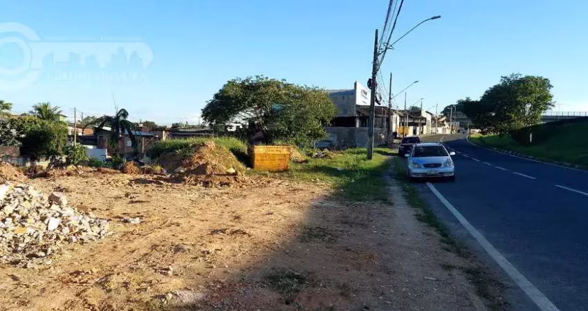 Terreno comercial em avenida castelo branco  -  registro