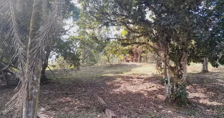Chácara / sítio com 2 quartos à venda na Sete Barras, Dois Irmãos, Sete Barras