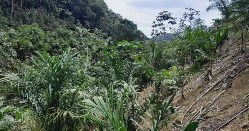 Chácara / sítio com 2 quartos à venda na Sete Barras, Dois Irmãos, Sete Barras