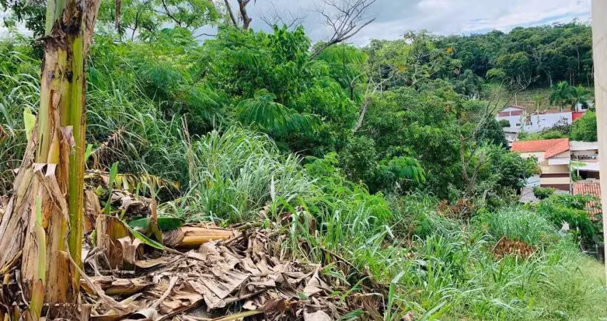 Terreno à venda na Jardim Sao Conrado, Jardim São Conrado, Registro