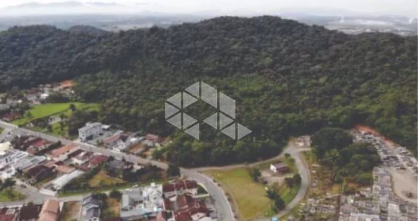 Terreno em Pirabeiraba  com 101 mil metros quadrados com projeto de viabilidade para uso e ocupação do so, ótima localização, acesso direto a BR - 101