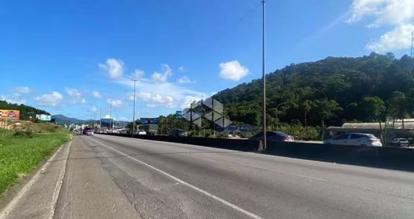 Área com localização privilegiada para pavilhões na Rodovia Federal BR-101