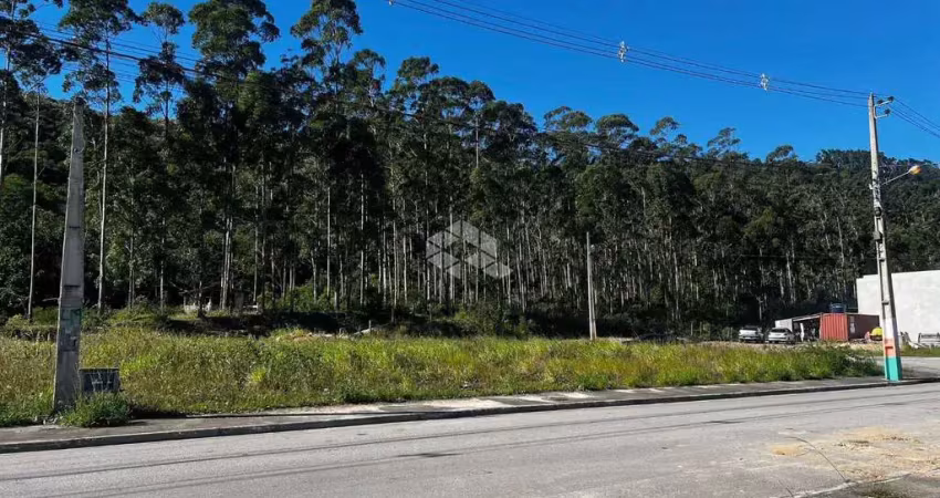 Terreno 404m² loteamento terras altas - são francisco de assis - camboriú