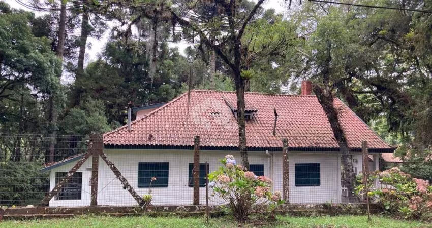 Terreno na Vila Suzana com 3.271 m2, com excelente potencial para empreendimentos