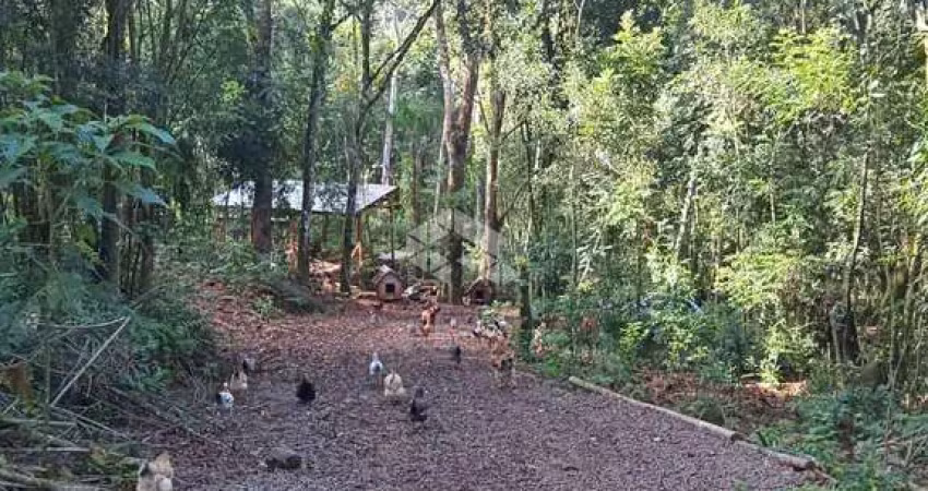 Chácara / sítio à venda na 100 da Leopoldina, 96, Zona Rural, Monte Belo do Sul