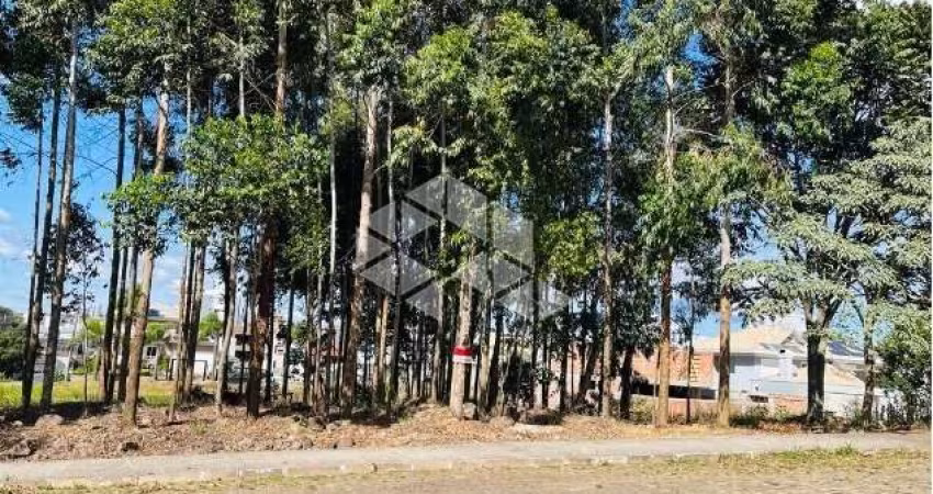 Terreno Plano