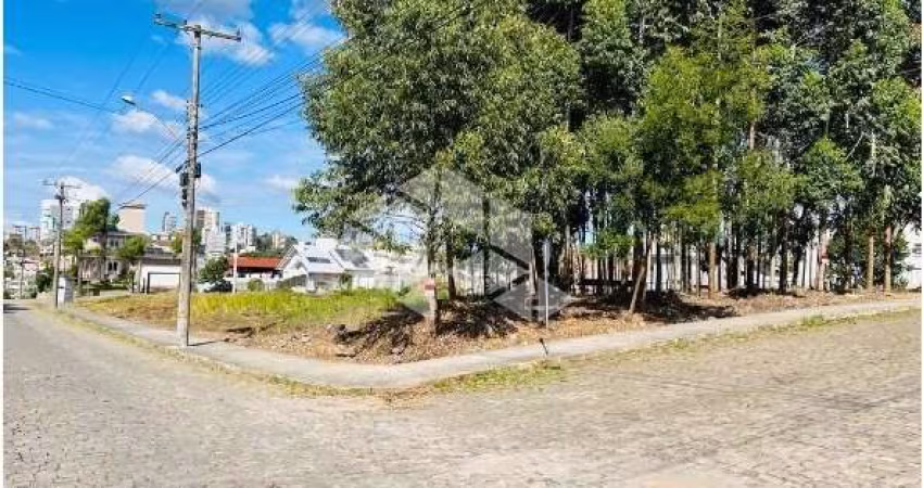 Terreno Plano