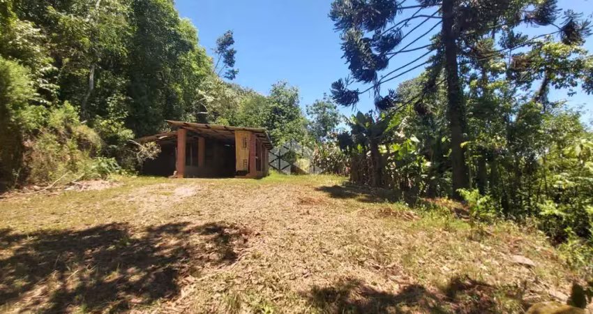Chácara / sítio à venda na Br-470, 1, São Valentin, Bento Gonçalves
