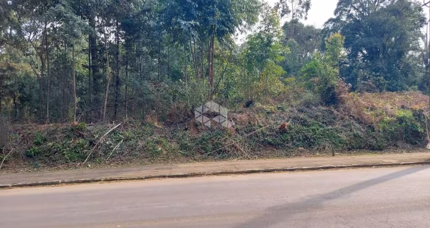 Terreno no bairro Tamandaré
