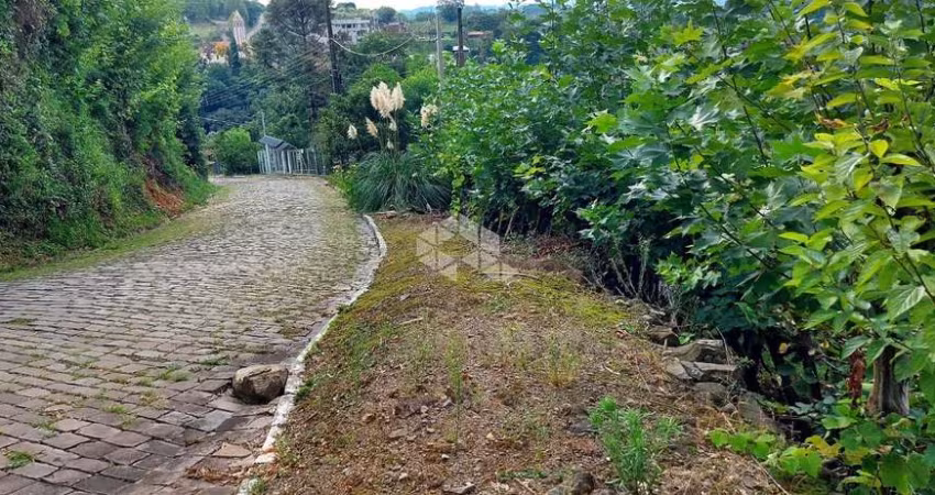 Linda terrra no Vale dos Vinhedos