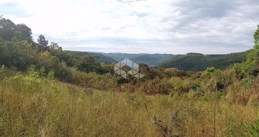 Chácara / sítio com 1 quarto à venda na São Valentim do Sul, 1, Centro, São Valentim do Sul