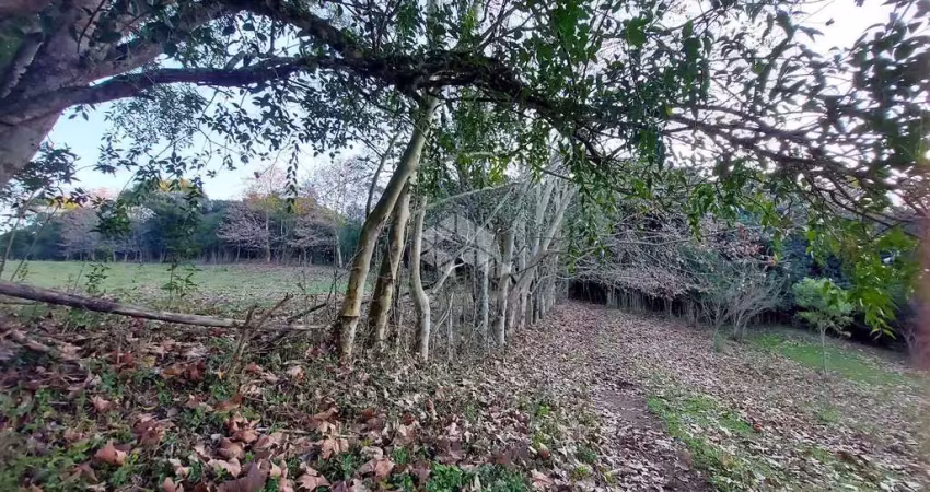 Chácara / sítio à venda na 15 Da Graciema, 5, Vale dos Vinhedos (Distrito), Bento Gonçalves