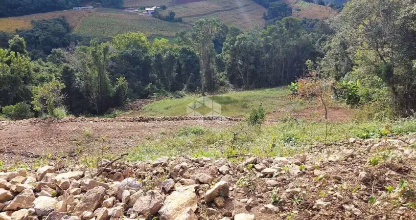 Chácara / sítio com 1 quarto à venda na Mario Salton, 10, Tuiuty (Distrito), Bento Gonçalves